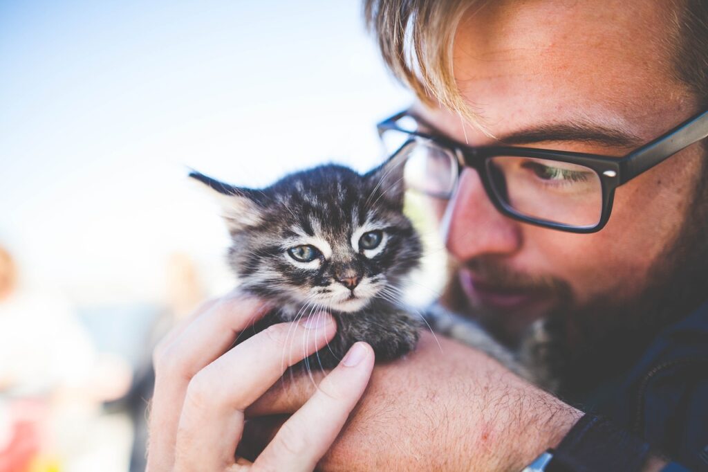 犬系男子と比較される猫系男子とは